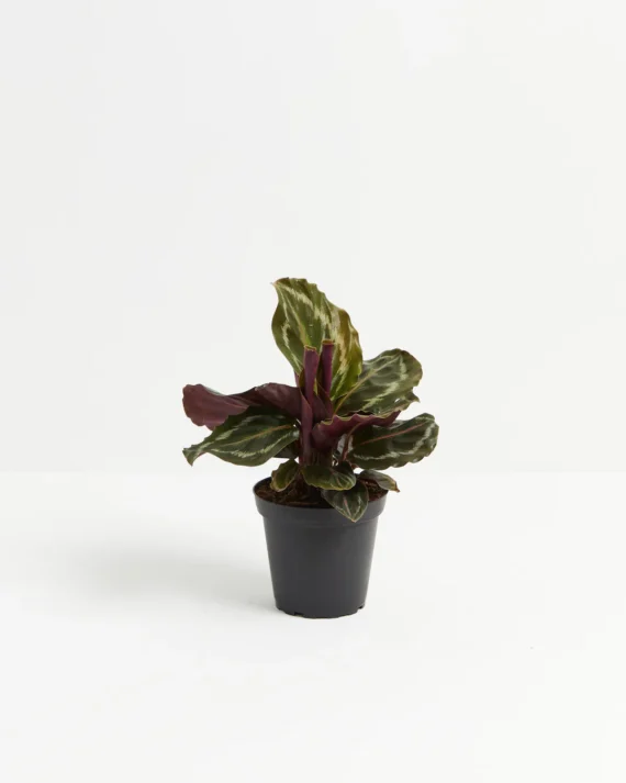 Test9
