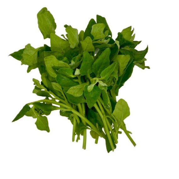 test21 - Image 4