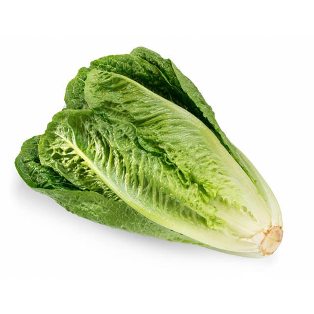 test20 - green